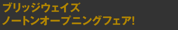 ブリッジウェイズ　ノートンオープニングフェア！